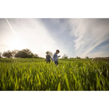 Natural Grass